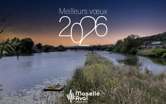 Meilleurs Vœux 2026